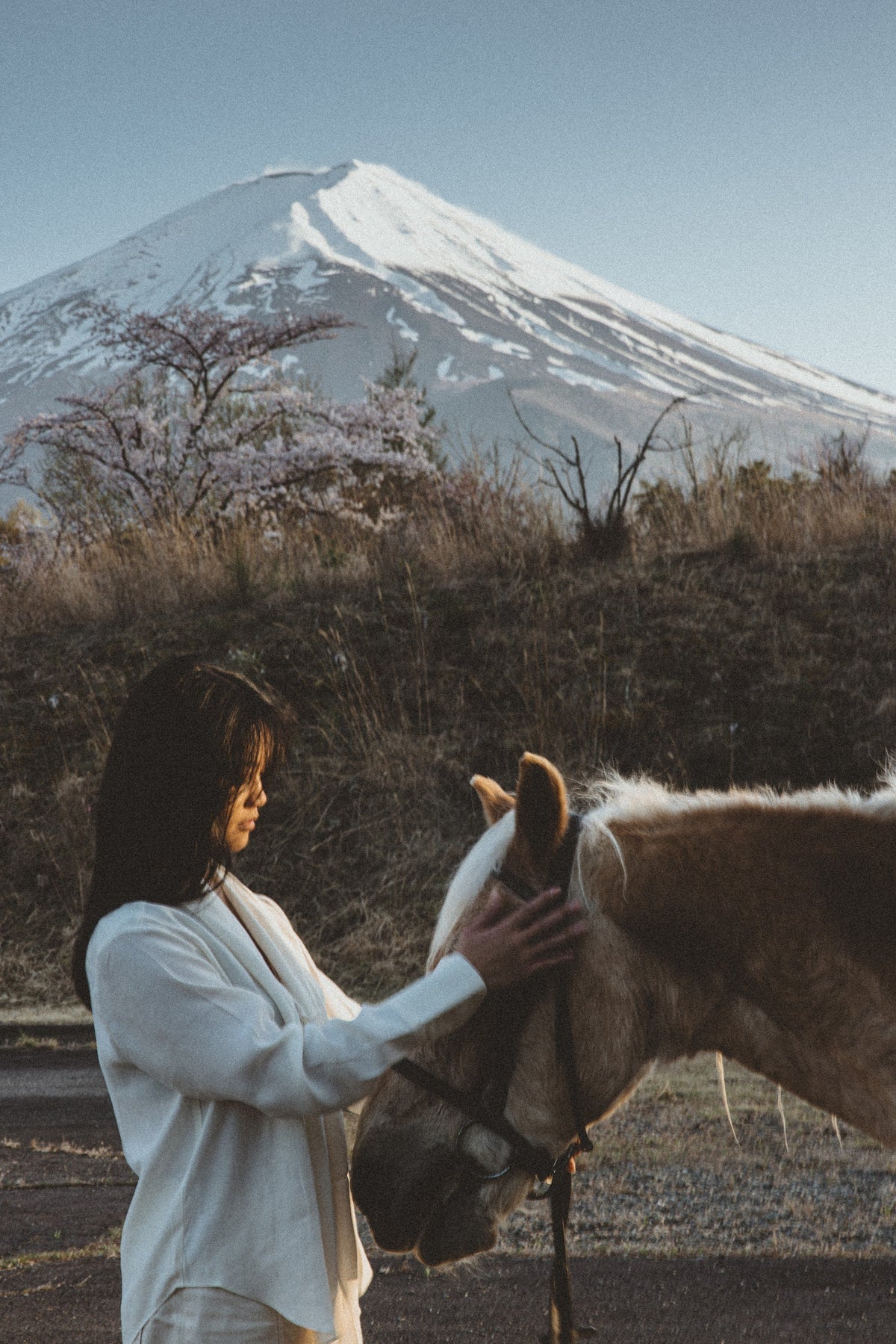 Frau mit Pferd vor dem Fuji